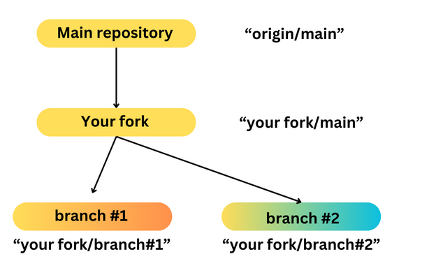 How branches work (in a simple case)